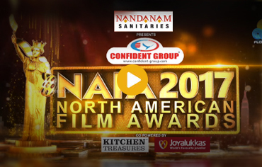 nafa awards 2017